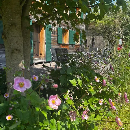 Nardin Apartament Mellau